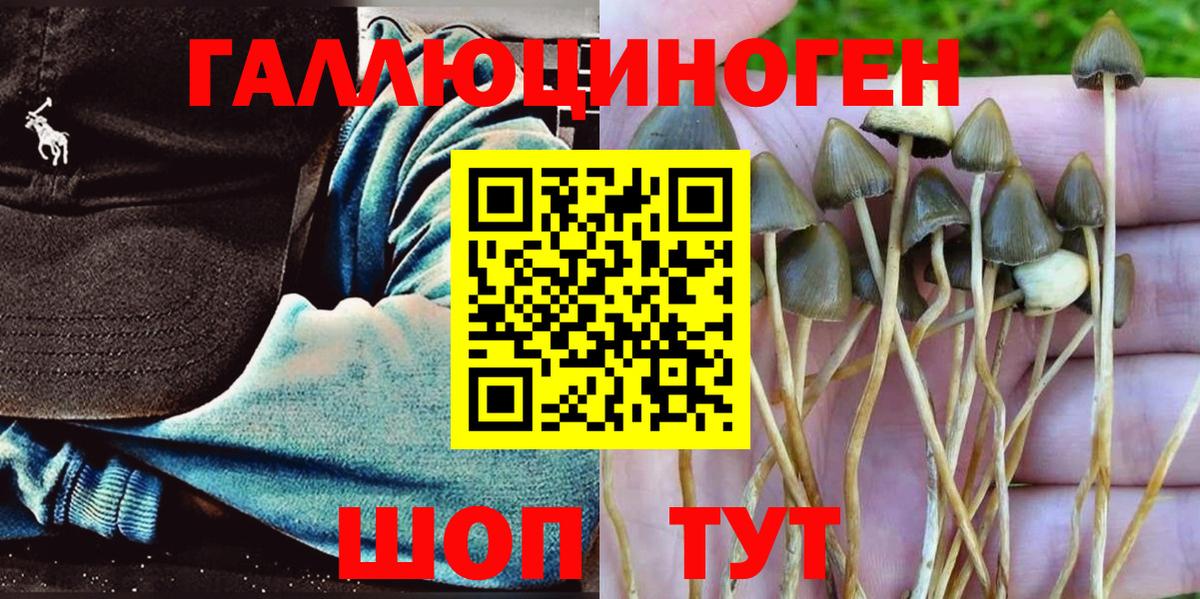 Коркино  Галлюциногенные грибы Cubensis  Псилоцибиновые грибы Magic Shrooms  Вход с VPN 